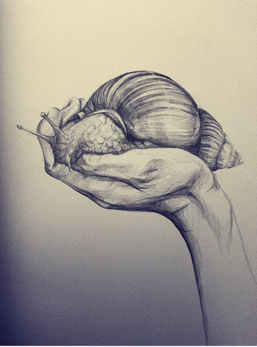 Snail in Hand